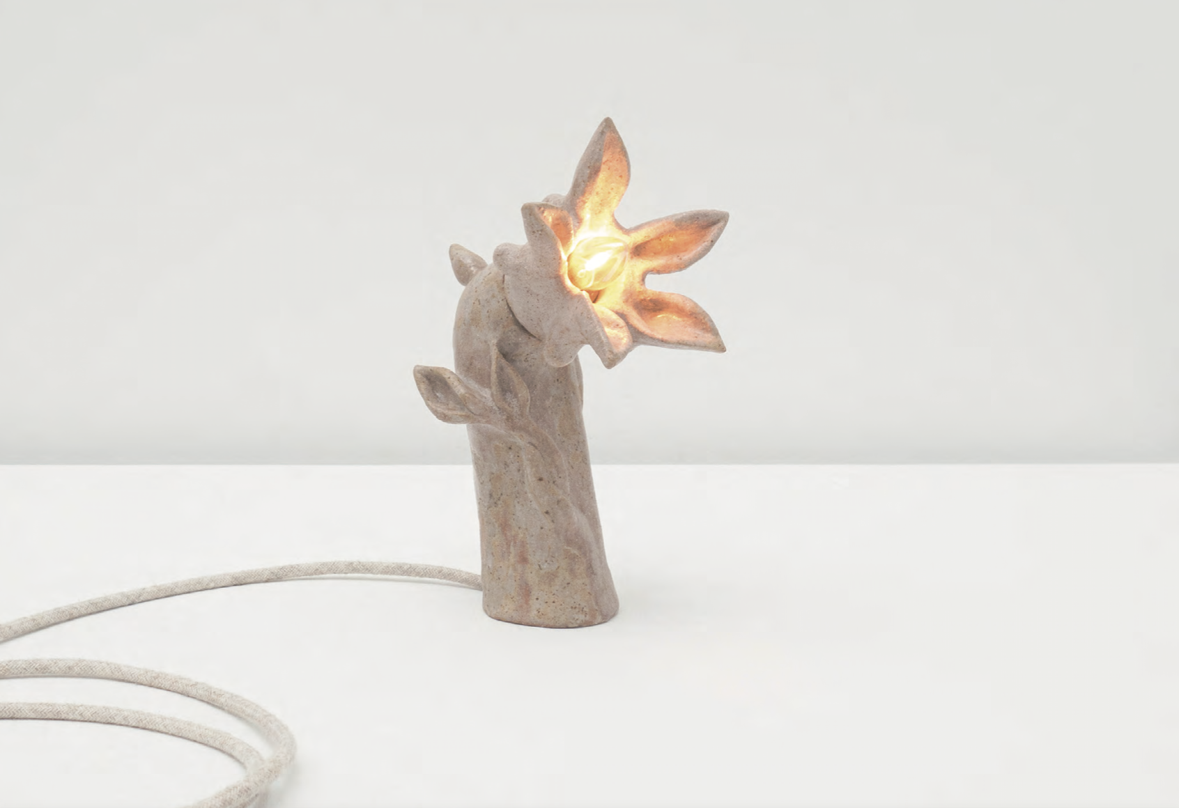  Stoneware, Ronce ashes, PVC, eclectic components, linen electrical cable, light bulb