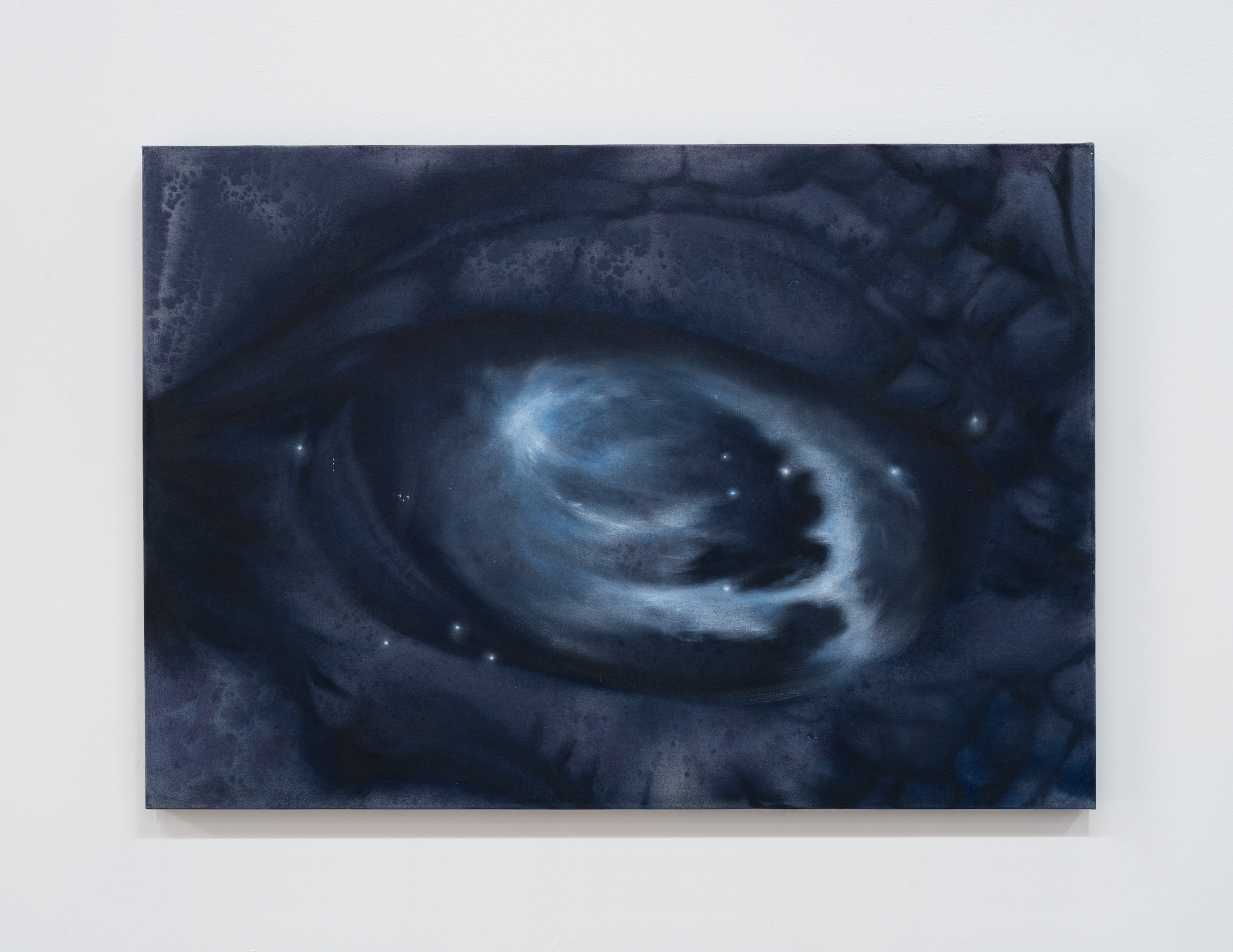 Oil and mineral pigment on canvas