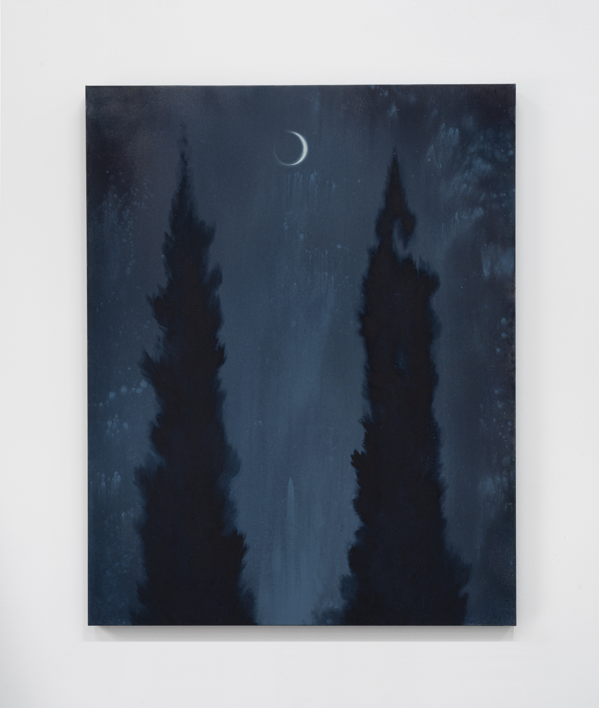 Oil and mineral pigment on canvas