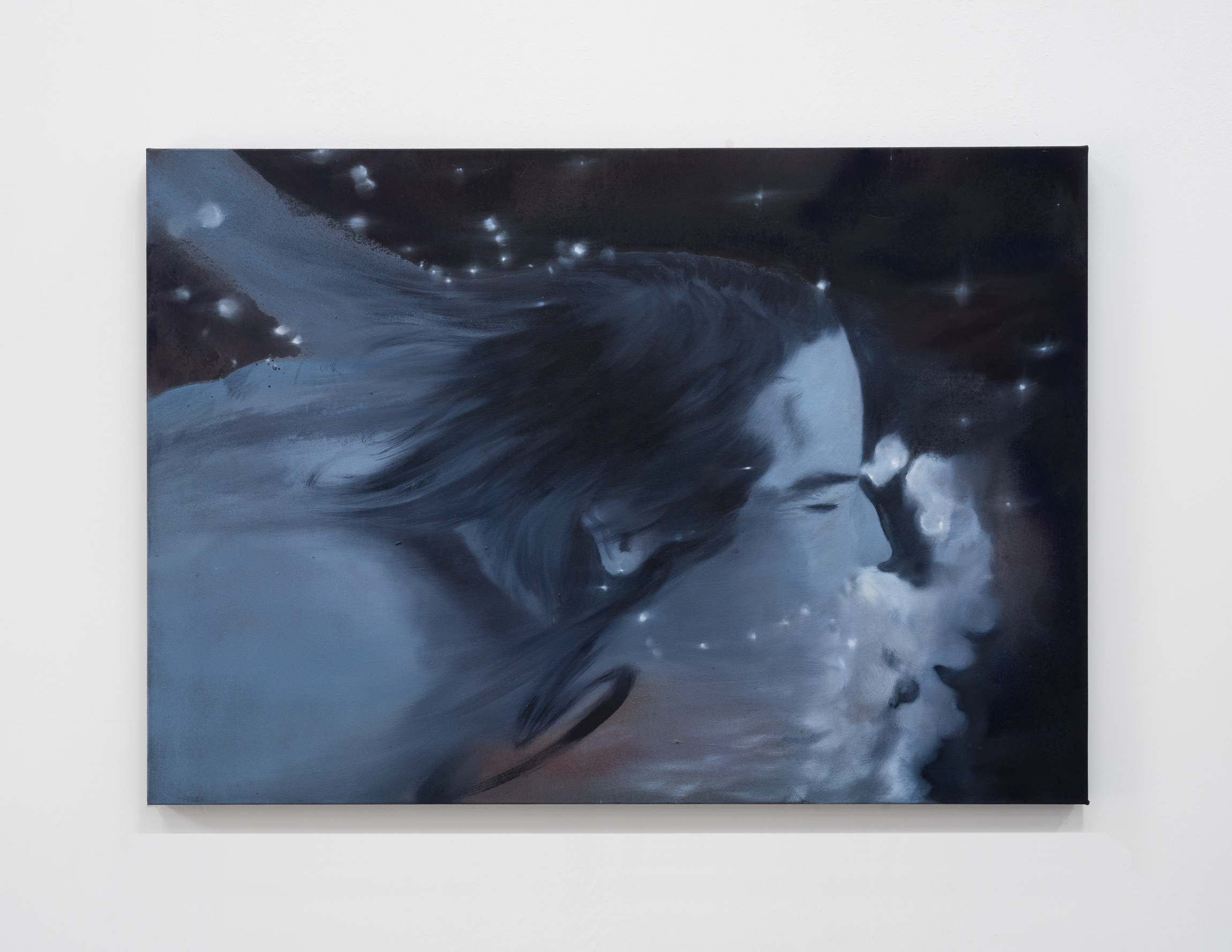 Oil and mineral pigment on canvas