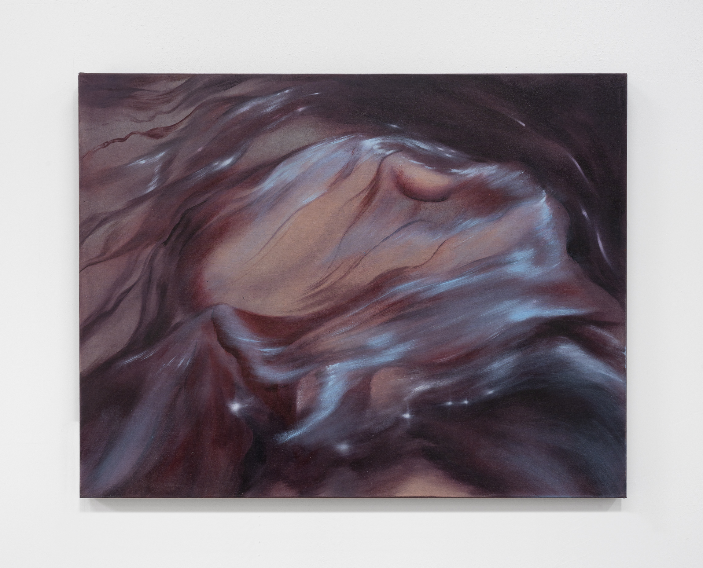 Oil and mineral pigment on canvas
