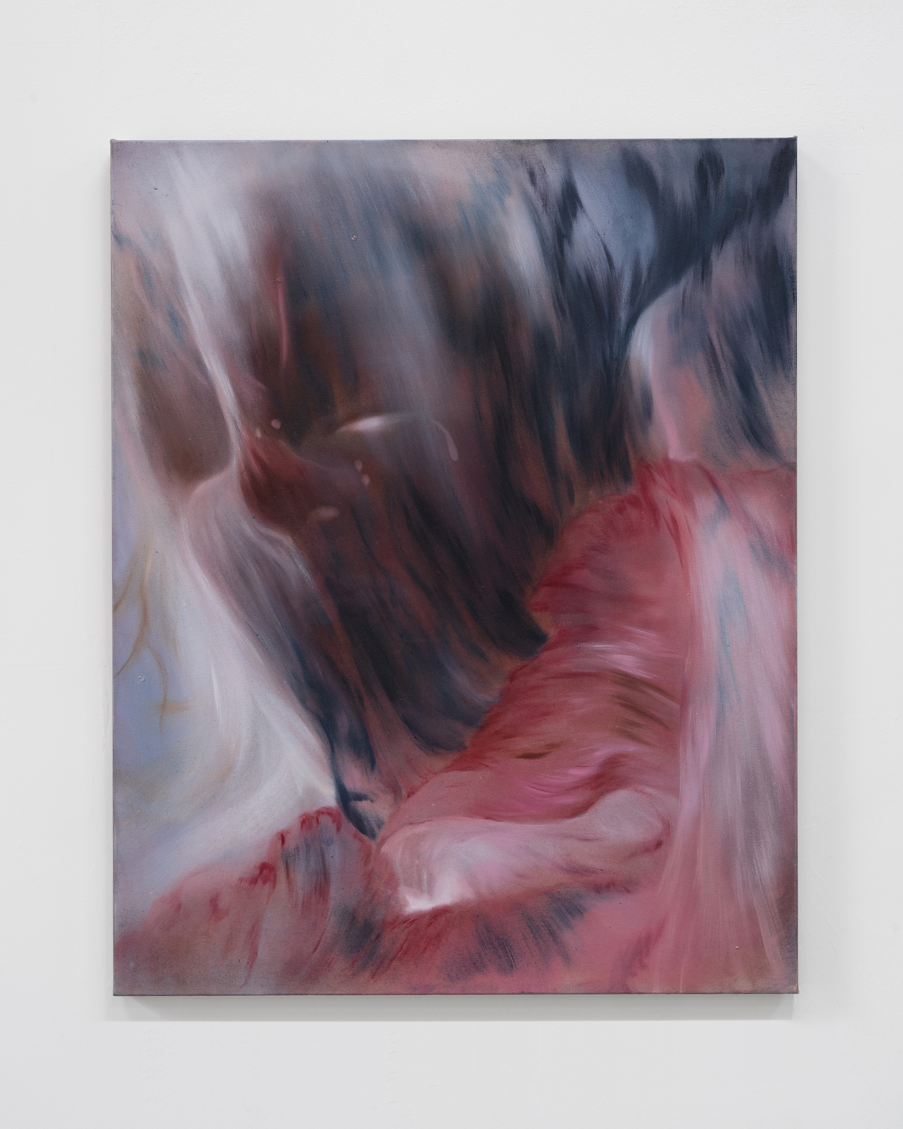 Oil and mineral pigment on canvas