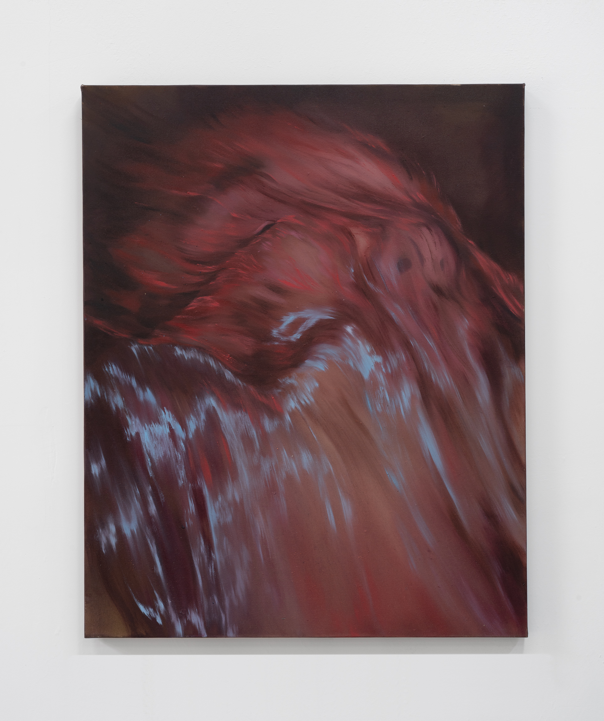 Oil and mineral pigment on canvas