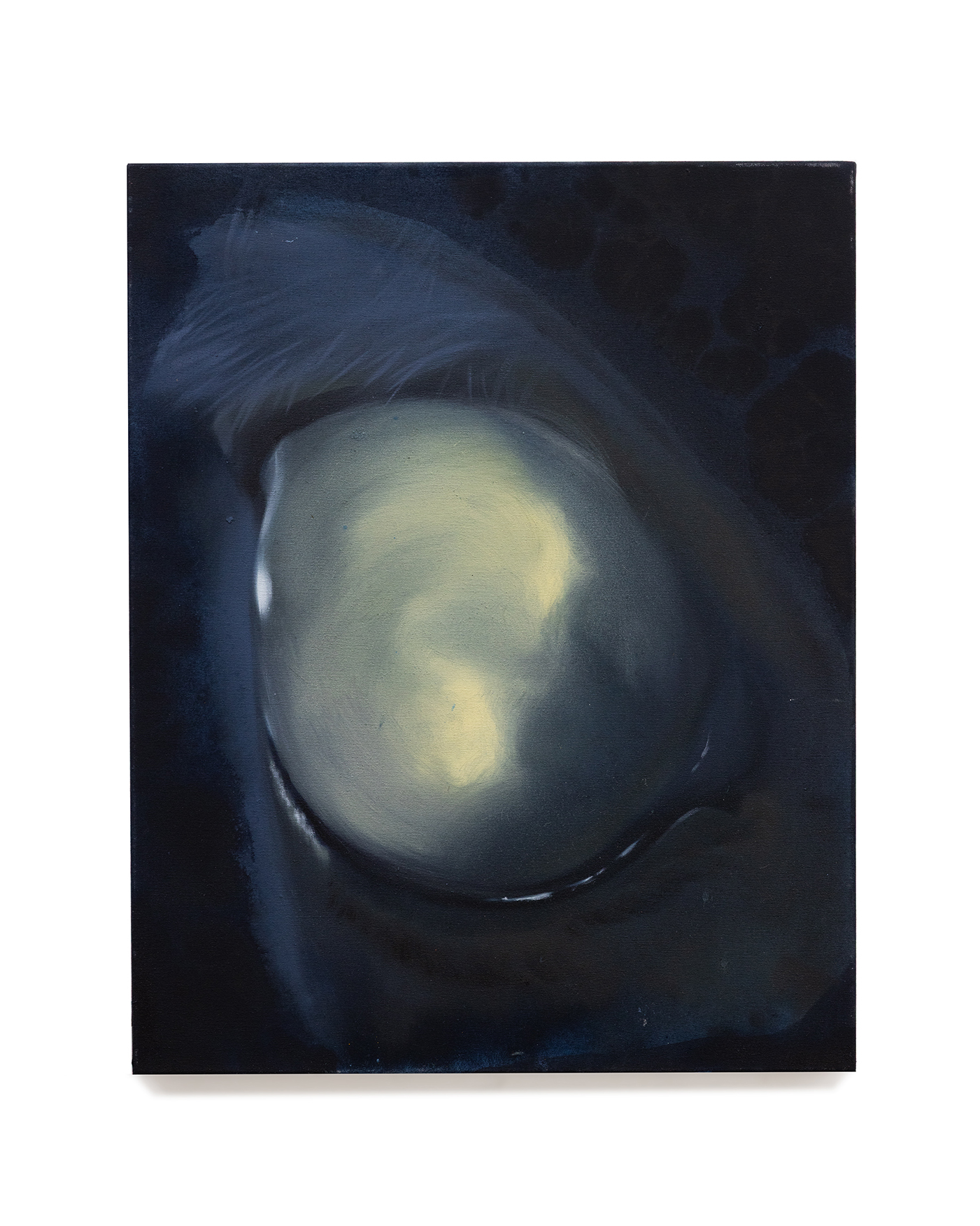 Oil and mineral pigment on canvas