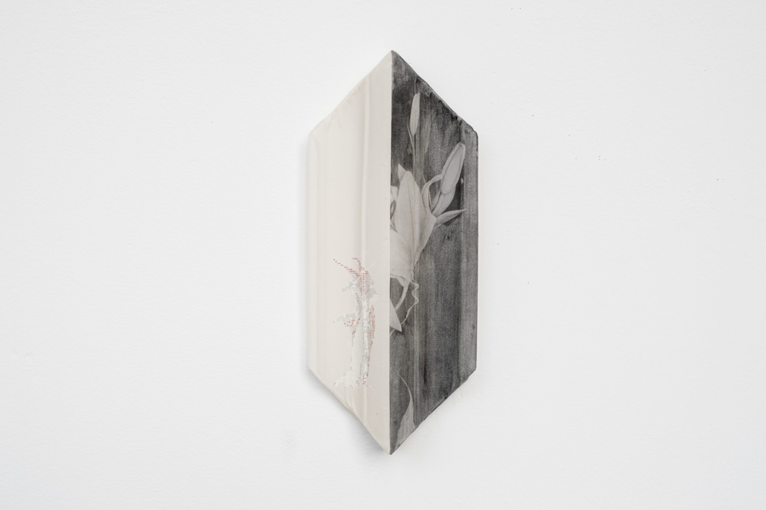 绢本设色、激光打印 Pigment on silk, laser print