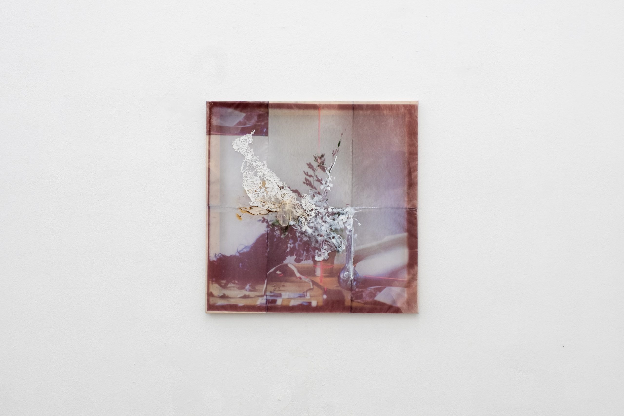 丝绸上油彩、菠萝纤维、蕾丝、烧痕 Piña, Lace, Burn marks, oil on Silk